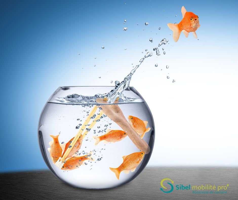 poisson qui sort de son bocal et symbolise le passage à l'action quand son métier n'a plus de sens et que le coaching professionnel aide à la reconversion
